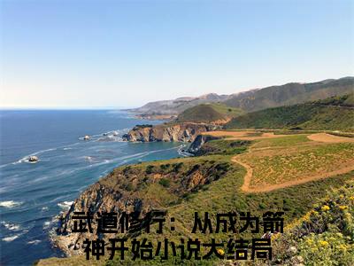 武道修行：从成为箭神开始小说(武道修行：从成为箭神开始)（王昊陈玉琴）前传+阅读全新作品预订