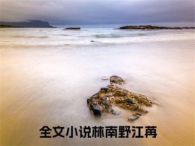 林南野江苒：结局+番外(林南野江苒)全文林南野江苒阅读无弹窗结局_林南野江苒+结局最新章节列表_笔趣阁（林南野江苒：结局+番外）