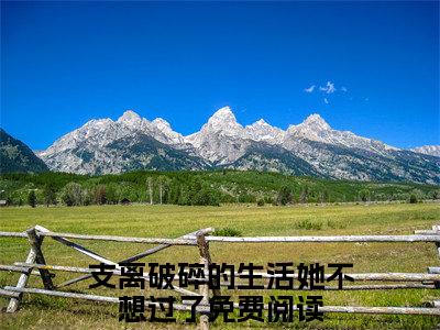 夏安安顾廷骁支离破碎的生活她不想过了免费阅读无弹窗最新章节列表-（夏安安顾廷骁）支离破碎的生活她不想过了全文免费阅读大结局笔趣阁