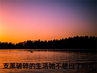 夏安安顾廷骁：结局+番外（支离破碎的生活她不想过了）完结阅读无弹窗大结局_(夏安安顾廷骁：结局+番外)最新章节列表_笔趣阁（支离破碎的生活她不想过了）