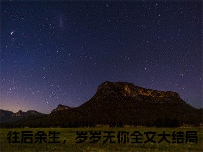 番外+全文陆西沉沈蔷：大结局+后续(往后余生，岁岁无你)小说最新列表_陆西沉沈蔷(往后余生，岁岁无你)全文阅读无弹窗陆西沉沈蔷：大结局+后续