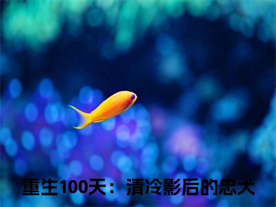（重生100天：清冷影后的忠犬）孟听晚程聿全文免费阅读无弹窗完整版_孟听晚程聿小说全文免费阅读