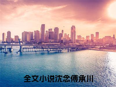 （黎明前停止心动）黎明前停止心动小说(沈念傅承川)小说全集速览无广告高口碑小说