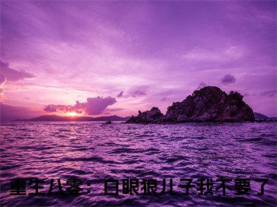 孟书芸苏向阳（重生八零：白眼狼儿子我不要了）全文免费阅读无弹窗大结局_（重生八零：白眼狼儿子我不要了免费阅读全文大结局）最新章节列表