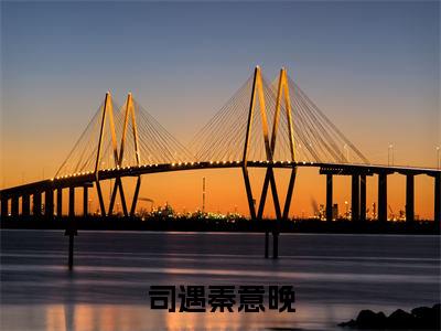 （玄学小撩精腰软心野，京圈大佬欲罢不能）司遇秦意晚玄学小撩精腰软心野，京圈大佬欲罢不能无删减小说在线无广告高口碑小说