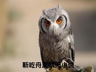 靳屹舟夏晴天（靳屹舟夏晴天）全文免费阅读无弹窗_靳屹舟夏晴天最新小说_笔趣阁（靳屹舟夏晴天）