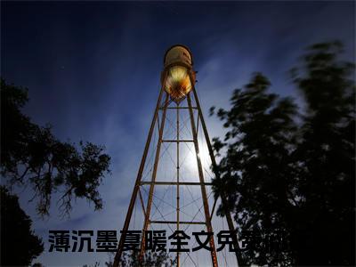 薄先生，先动的心（薄沉墨夏暖）全文免费阅读无弹窗大结局_薄先生，先动的心在线阅读笔趣阁（薄沉墨夏暖）