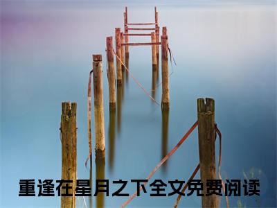 沈司宴厉诗瑜（重逢在星月之下全文在线阅读）-沈司宴厉诗瑜（重逢在星月之下）免费阅读无删减完整版