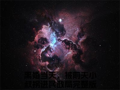 季以柠沈肆离婚当天，被前夫小叔拐进民政局小说整本+后续（离婚当天，被前夫小叔拐进民政局）清爽版阅读