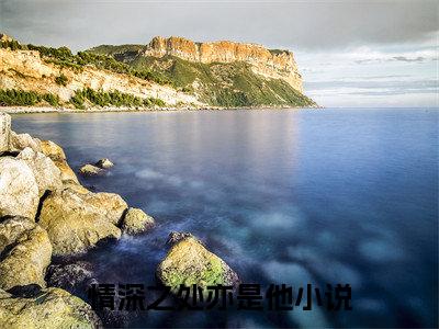 沈云琛傅星瑶：结局+番外（情深之处亦是他）全文免费阅读无弹窗大结局_情深之处亦是他：结局+番外（情深之处亦是他）最新章节列表_笔趣阁情深之处亦是他
