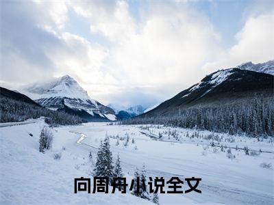 周舟程晏然（向周舟）全文免费阅读无弹窗大结局_（周舟程晏然）最新章节列表_笔趣阁（向周舟）