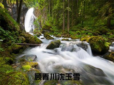 独家顾青川沈玉雪小说小说大结局（长恨人心不如水）全篇在线下载阅读