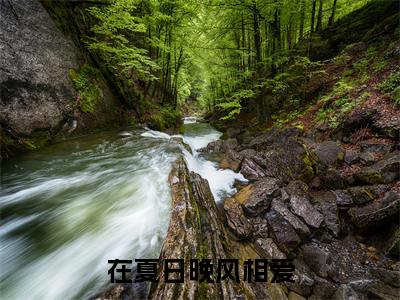 在夏日晚风相爱小说(顾寻宋嘉禾)小说全集在线下载_章节前文+后续（在夏日晚风相爱）