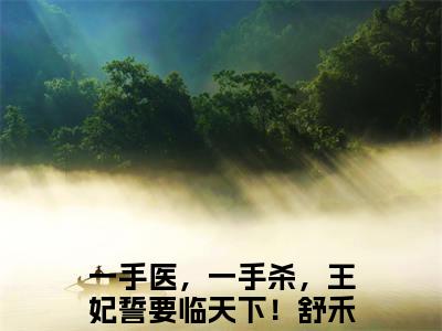 (一手医，一手杀，王妃誓要临天下！舒禾：结局+番外)全集免费(一手医，一手杀，王妃誓要临天下！舒禾)全文免费阅读无弹窗大结局_一手医，一手杀，王妃誓要临天下！舒禾：结局+番外最新章节列表_笔趣阁一手医，一手杀，王妃誓要临天下！舒禾