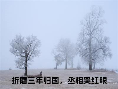 司徒鸢裴寂：结局+番外折磨三年归国，丞相哭红眼小说全文无删减版在线阅读-最新小说司徒鸢裴寂：结局+番外小说全文阅读