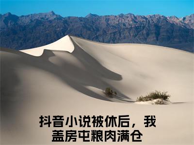 被休后，我盖房屯粮肉满仓叶盼汣苏阎番外（叶盼汣苏阎）TXT+后续+结局在线阅读
