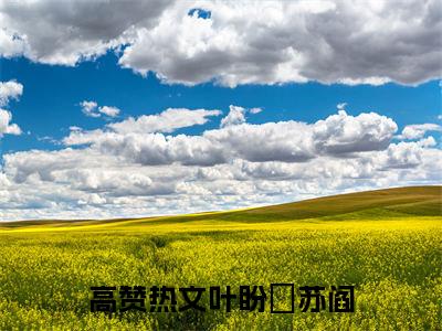 叶盼汣苏阎完整版热门（叶盼汣苏阎：全文+后续）全文免费阅读已完结无弹窗_叶盼汣苏阎最新章节列表_笔趣阁（叶盼汣苏阎：全文+后续）
