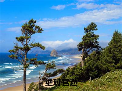 绝对官途,我升官后你哭什么小说全篇完整在线阅读（韶宏伟程秋燕）热门章节列表