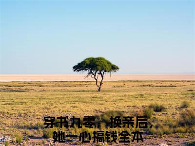 热文推荐穿书九零，换亲后，她一心搞钱小说大结局（姜绵姜琳）书荒必看列表
