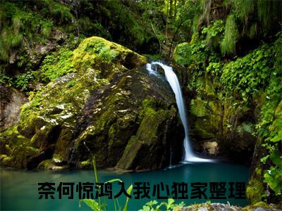 段知许江疏桐小说(奈何惊鸿入我心)小说全集阅读连载中（段知许江疏桐）_笔趣阁
