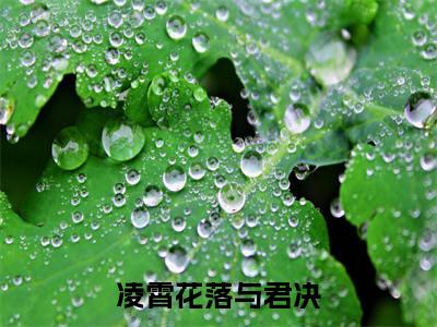 玄晟锦瑟小说(凌霄花落与君决)章节目录+起始篇章（玄晟锦瑟）全章无套路在线