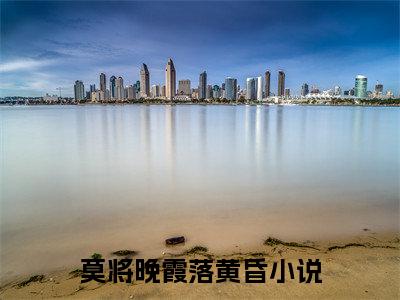 沈淮瑾苏晚晚小说(莫将晚霞落黄昏)最近更新（沈淮瑾苏晚晚）整本无套路阅读
