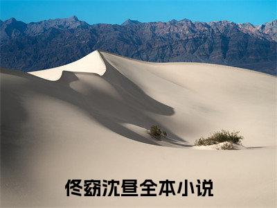佟窈沈昼(我看前任他也是风韵犹存)章节目录+起点章节（佟窈沈昼）全篇清爽版在线