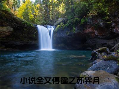 傅霆之苏霁月在线阅读（傅霆之苏霁月小说）结局+番外看点十足_傅霆之苏霁月免费+番外+后续在线阅读_（傅霆之苏霁月小说）