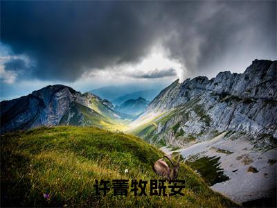 许菁牧既安小说整本+后续（在废土的花样作死）清爽版阅读