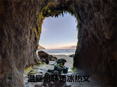 温庭州林语冰在线阅读（在你心里，我永远都可以被摆在后面的顺位）结局+番外抖音新书_（温庭州林语冰全文免费阅读）最新章节列表