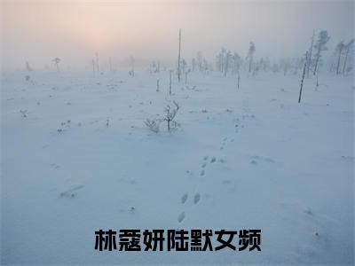 林蔻妍陆默完结篇（林蔻妍陆默）全篇免费版在线+无障碍结局