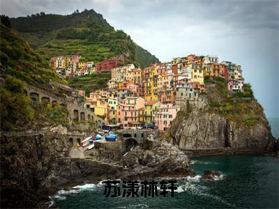 (番外)+(全文)苏漾林轩：番外+全文+后续（苏漾林轩）完整版小说阅读_苏漾林轩：番外+全文+后续免费阅读_笔趣阁（苏漾林轩）