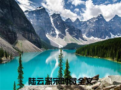 (何须相思煮余年：结局+番外)书荒文好文分享(陆云深宋时微)全文免费阅读无弹窗大结局_何须相思煮余年：结局+番外最新章节列表_笔趣阁陆云深宋时微