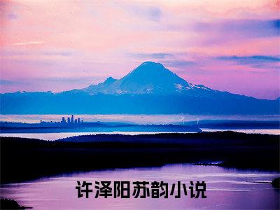 许泽阳苏韵：结局+番外免费品鉴：结局+番外评价五颗星