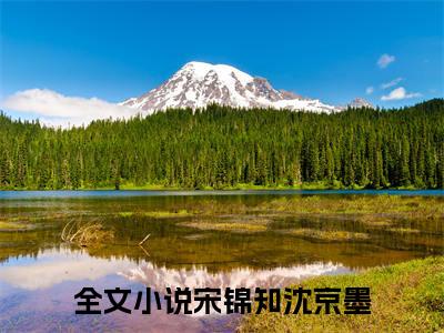 宋锦知沈京墨续集(再遇仍是上上签)全本完整免费版_起点章节+后续（宋锦知沈京墨）