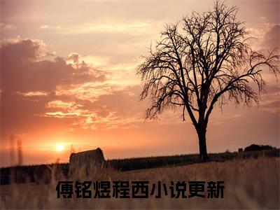 傅铭煜程西小说（我死后，渣男疯了）前文+全本完整阅读预售作品抢先看