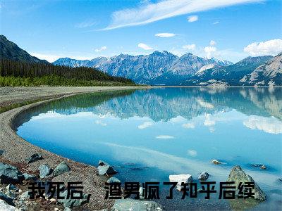 傅铭煜程西附加我死后，渣男疯了：结局+番外免费品鉴（傅铭煜程西）全本浏览阅读连载中