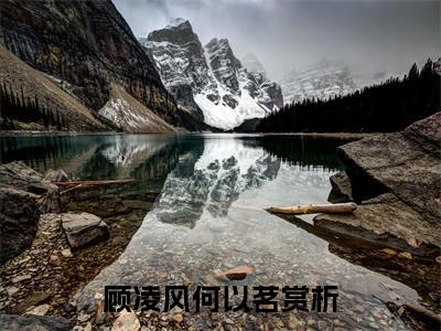 终章小说情怨深深深几许：结局+番外(顾凌风何以茗)已更新+延伸（顾凌风何以茗）清爽版