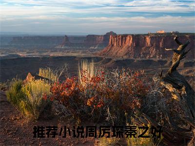 周厉琛秦之好全集小说完整版大结局_周厉琛秦之好完结版在线阅读