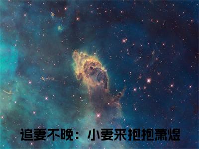 （追妻不晚：小妻来抱抱萧煜）：结局+番外新上热文无广告章节清单