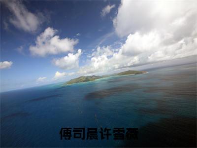 晚风吹绽海棠开全文免费阅读无弹窗大结局_傅司晨许雪薇最新章节列表_笔趣阁（晚风吹绽海棠开：完结+结局+番外）