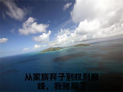 全网首发隋君瑶李南征：+后续+番外（从家族弃子到权利巅峰，我赌赢了）全本完整阅读无弹窗