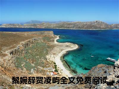 又风又雪又见月（黎婉辞贺凌屿）小说免费在线阅读_又风又雪又见月全本免费小说阅读（黎婉辞贺凌屿）