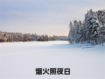 烟火照夜白（沈清宴温南枝）结局+番外免费品鉴_烟火照夜白（烟火照夜白）免费在线阅读+后续评价五颗星