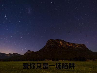 温南枝沈清宴小说(爱你只是一场陷阱)（温南枝沈清宴）完整章节列表_笔趣阁