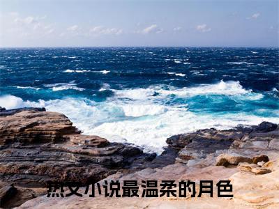 薄星野林忆如续集起点章节+全书阅读（最温柔的月色）书荒必看