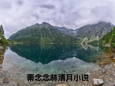 谎吻蚀心碑秦念念林清月完结篇(谎吻蚀心碑)章节目录+章节前文（秦念念林清月）全章无套路在线