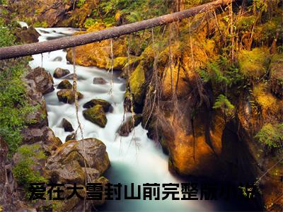许知夏陆宴臣小说(爱在大雪封山前)章节目录+起点章节（许知夏陆宴臣）全篇清爽版在线