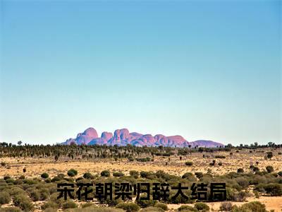 小说大结局小说庶女替嫁：她在南蛮种田发家小说已更新+特别篇（宋花朝梁归辞）纯净版
