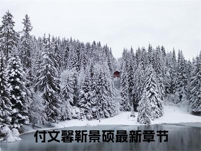 【新书】《付文馨靳景硕》全文免费阅读无弹窗大结局-付文馨靳景硕全章节免费阅读